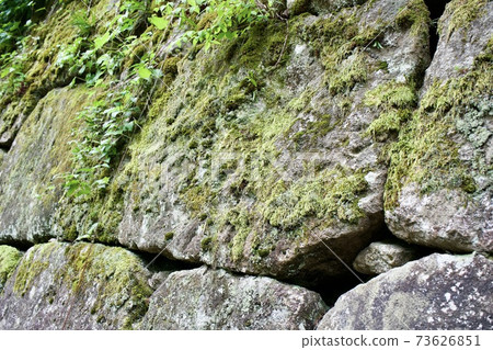 The surface of the stone wall with moss The surface of the stone wall with moss 73626851