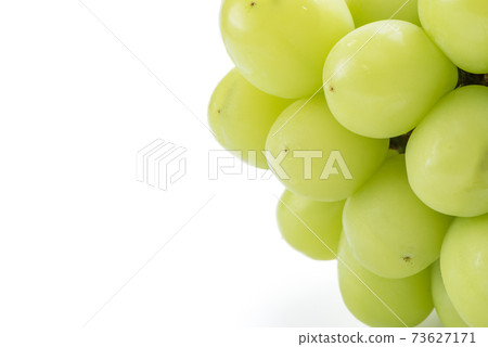 麝香葡萄 岡山 Shine Muscat grape シャインマスカット 岡山 麝香葡萄 岡山 Shine Muscat grape シャインマスカット 岡山 73627171