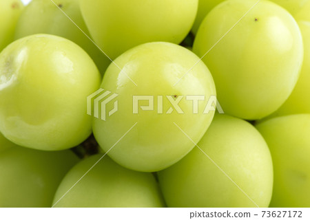 麝香葡萄 岡山 Shine Muscat grape シャインマスカット 岡山 73627172