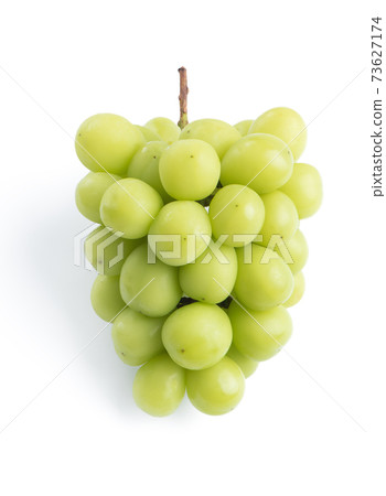 Muscat grape Okayama Shine Muscat grape シャインマスカット Okayama Muscat grape Okayama Shine Muscat grape シャインマスカット Okayama 73627174