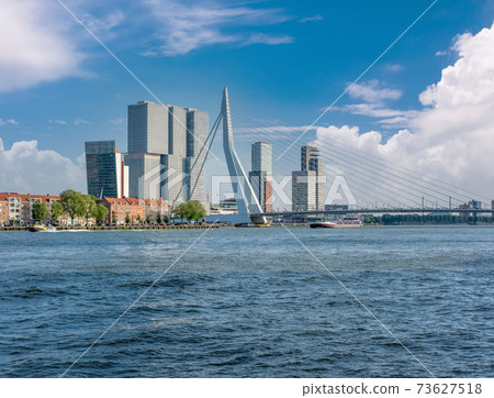 Rotterdam city cityscape skyline with Erasmus bridge and river. South Holland, Netherlands. 73627518
