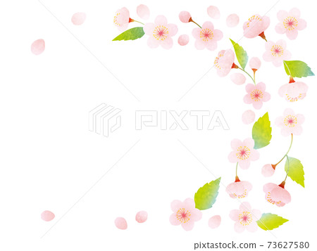 水彩葉櫻花的裝飾插圖 水彩葉櫻花的裝飾插圖 73627580