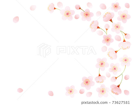 Watercolor style cherry blossom decoration illustration Watercolor style cherry blossom decoration illustration 73627581