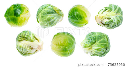 various ripe brussels sprouts cut out on white 73627930