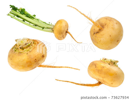set of fresh turnips cut out on white set of fresh turnips cut out on white 73627934