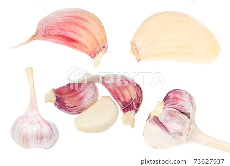 set of fresh garlic bulbs and cloves cut out 73627937