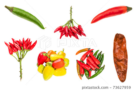 set of various peppers cut out on white 73627959