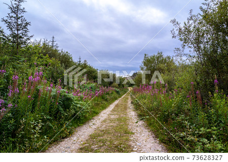 Path at Bonny Glen in County Donegal - Ireland. Path at Bonny Glen in County Donegal - Ireland. 73628327