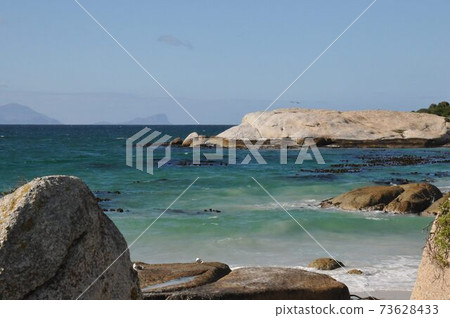 Boulders Beach, Cape Peninsula, South Africa 73628433