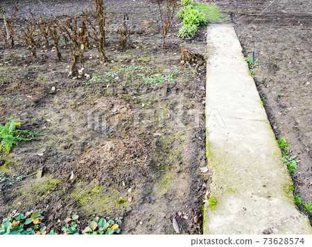 path in empty garden in winter path in empty garden in winter 73628574