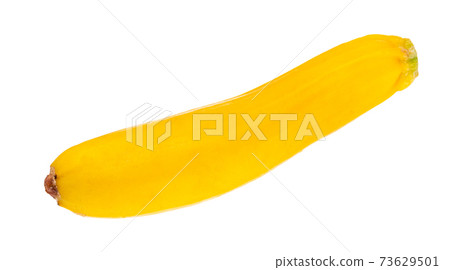 fresh yellow zucchini cutout on white 73629501