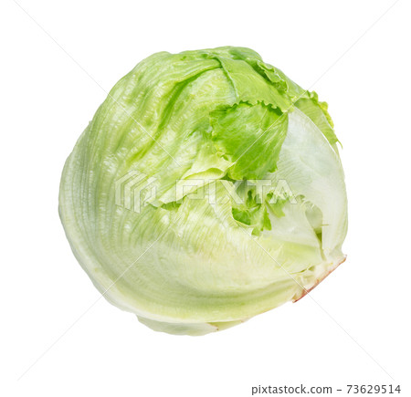 iceberg lettuce, head lettuce cutout on white iceberg lettuce, head lettuce cutout on white 73629514