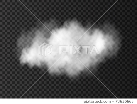 Realistic  vector white  smoke cloud  isolated on transparent background. 73630663