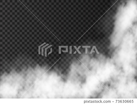 Realistic vector fire smoke or mist texture. Realistic vector fire smoke or mist texture. 73630665