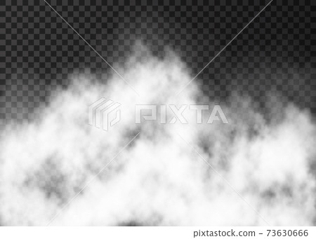 White fire smoke or  fog isolated on transparent background. 73630666