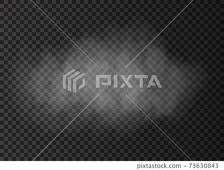 White  fire  smoke cloud  isolated on transparent background. 73630843