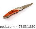 Penknife with the wooden handle . 73631880