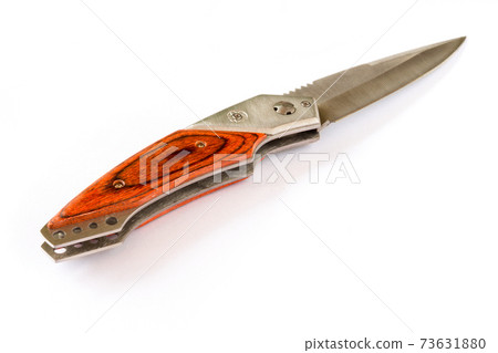 Penknife with the wooden handle . 73631880