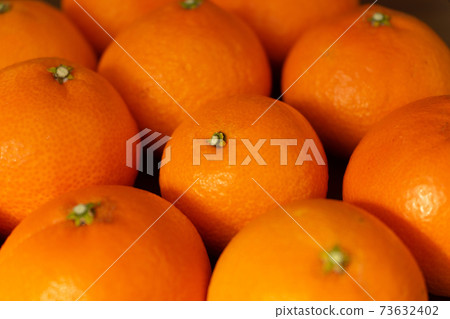 Red Madonna lined up 73632402