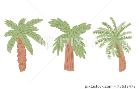 Set palm trees isolated on white background. Abstract tropical plant with green foliage and brown tree trunk. Set palm trees isolated on white background. Abstract tropical plant with green foliage and brown tree trunk. 73632472
