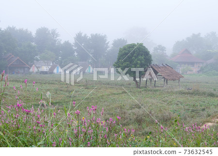 The countryside village is covered by the fog. The countryside village is covered by the fog. 73632545