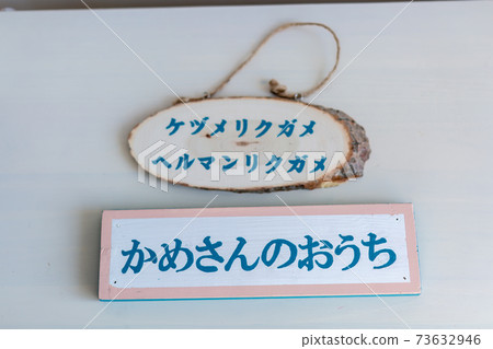 Stump art tag 73632946