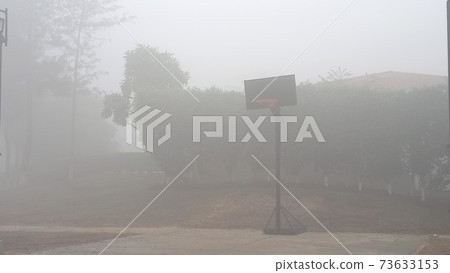 Fog morning park Fog morning park 73633153