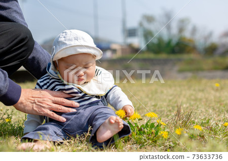Hanami baby and grandfather Hanami baby and grandfather 73633736