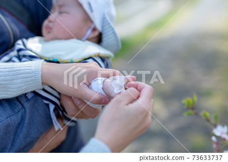 花見嬰兒和爺爺 花見嬰兒和爺爺 73633737