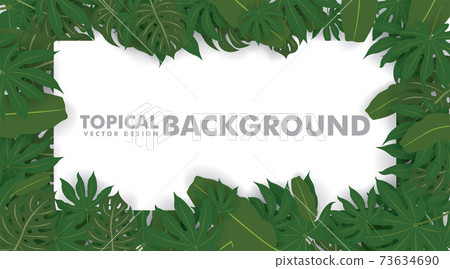 Frame made of fresh green tropical leaves on white background. Space for design or text. vector illustration design Frame made of fresh green tropical leaves on white background. Space for design or text. vector illustration design 73634690