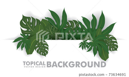 fresh green tropical leaves on white background. Space for design or text. vector illustration design fresh green tropical leaves on white background. Space for design or text. vector illustration design 73634691
