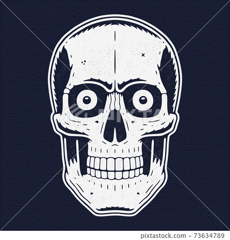 Skull graphic. Retro illustration in a vintage engraving style. 73634789