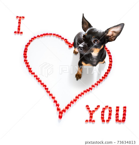 dog valentines love heart dog valentines love heart 73634813