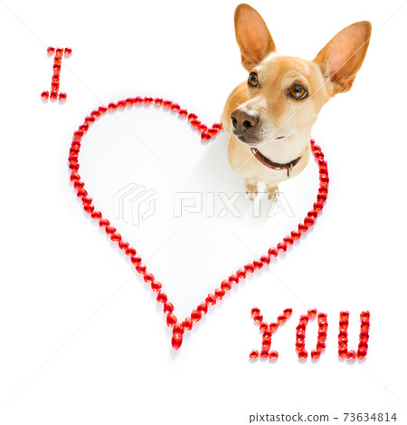 dog valentines love heart dog valentines love heart 73634814