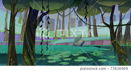 Rain in forest with swamp or lake and water lilies Rain in forest with swamp or lake and water lilies 73636909