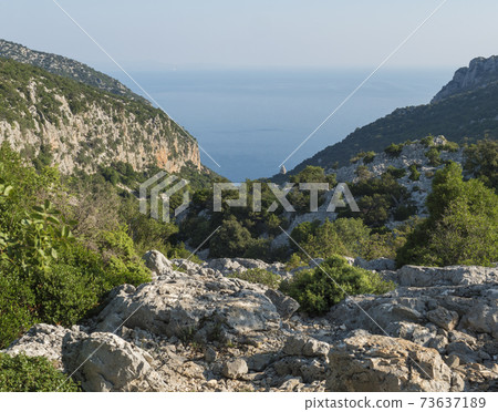 A view of valley with rocky hiking path to Cala Goloritze beach, limestone rocks and sea. Famous travel destination. Gulf of Orosei, Sardinia, Italy, September A view of valley with rocky hiking path to Cala Goloritze beach, limestone rocks and sea. Famous travel destination. Gulf of Orosei, Sardinia, Italy, September 73637189