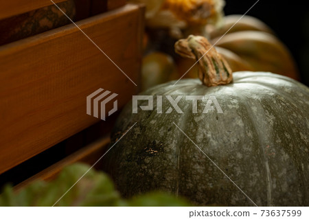 Green pumpkin and wooden box close up Green pumpkin and wooden box close up 73637599
