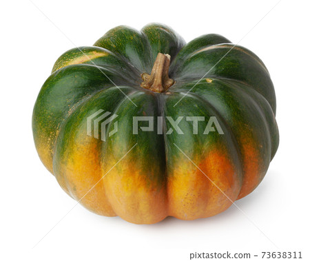 Studio shot of a pumpkin isolated on white background Studio shot of a pumpkin isolated on white background 73638311