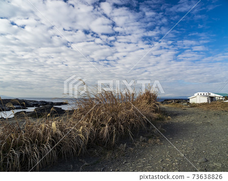 Winter in Jogashima, Miura City, Kanagawa Prefecture, on the Shonan Miura Peninsula 73638826
