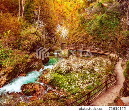 Vintgar gorge, Slovenia 73639155