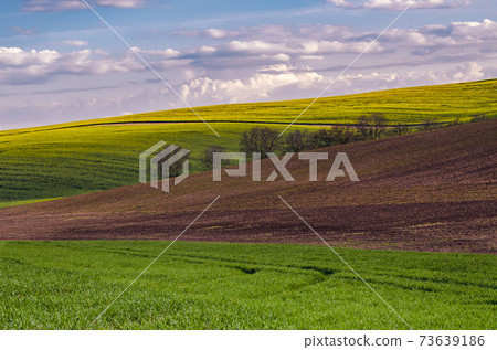 Rural spring landscape Rural spring landscape 73639186