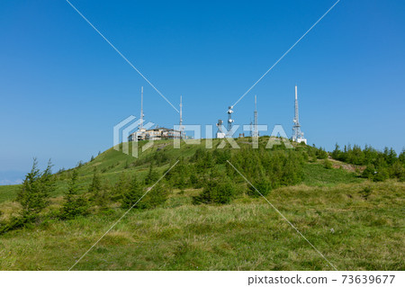 Near the summit of Utsukushigahara Plateau [Summer] 73639677