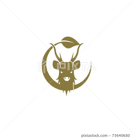 Deer logo icon illustration design vector 73640680