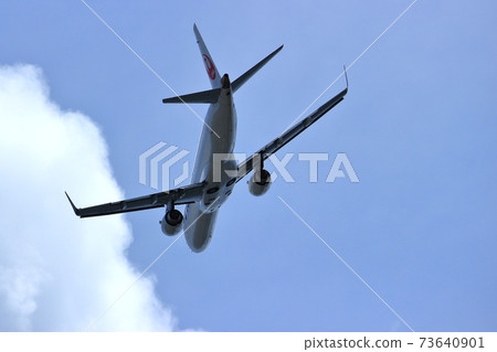 大阪國際機場飛機JAL反向運行起飛 73640901