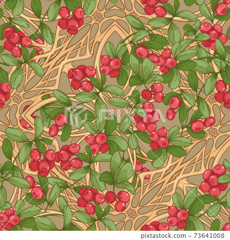 Cranberry. Seamless pattern Cranberry. Seamless pattern 73641008