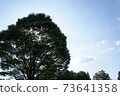 公園的陰涼處 73641358