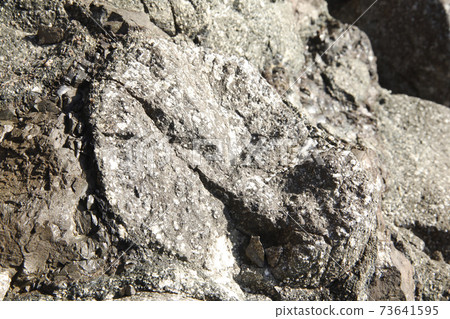 Pillow lava, Hamatome Beach, Yaizu City Pillow lava, Hamatome Beach, Yaizu City 73641595