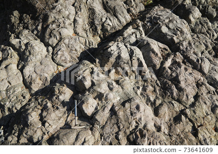 yatsu市Hamatome海灘的枕形熔岩 73641609