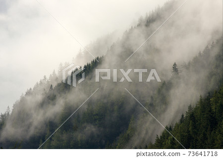 Mountain forest 73641718