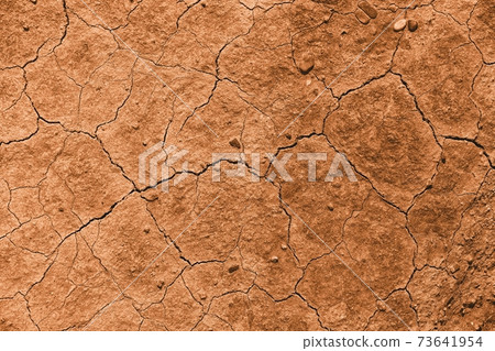 Soil Soil 73641954